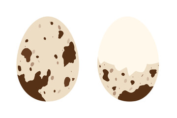 Boiled peeled quail egg. Flat isolated vector illustration