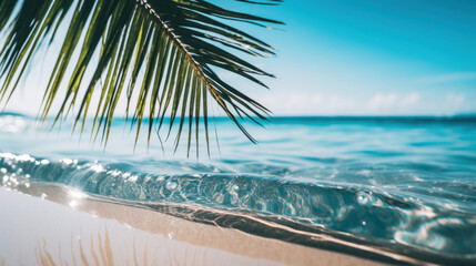 Tropical beach view from under a palm frond, the horizon stretches across clear blue waters and pristine sand.