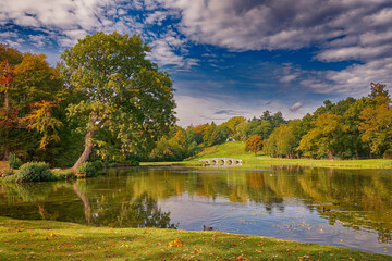 A bent oak tree at Painshill Park Cobham Surrey England UK