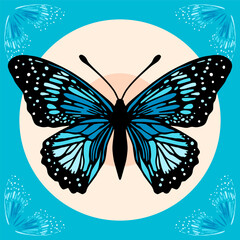 Illustration of a Black and Blue Butterfly on a blue background. Vector illustration.