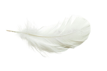 White Swan Feather isolated on transparent background