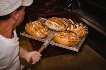 Brote werden vom Bäcker aus demm Ofen geholt