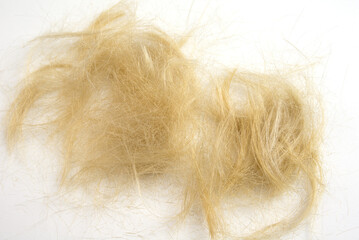 Small pieces of cut blonde hair on a white