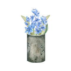 Watercolor spring garden illustration. Iron can with lilac blue flowers proleski and green leaves. Floral arrangement for label, logo design