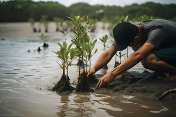 Person planting mangrove tree for promoting habitat restoration, concept of Sustainability and Community Engagement