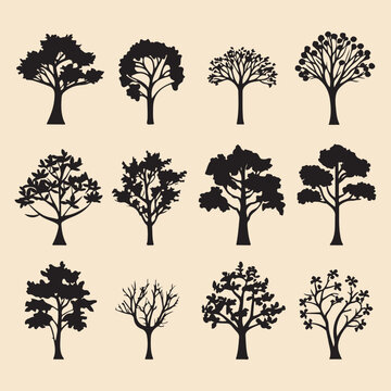 Oak tree set black silhouette Clip art vector