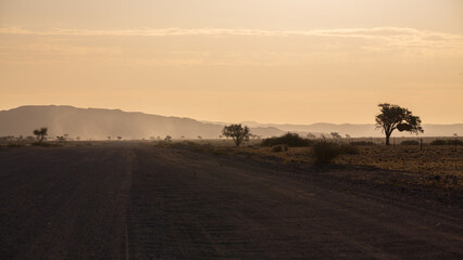 Eine einsame, staubige Schotterpiste durch die Savanne der Wüste Namibias mit vereinzelten Bäumen in der Abenddämmerung