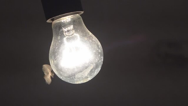 Detail of dusty bulb lighting in the night with a moth flying around