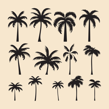palm set black silhouette Clip art