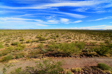 Sonora Desert Arizona