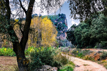 Camino en el Ca&ntilde;&oacute;n del rio Dulce.