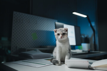 A cat sits on a desk, There is a cat in the office, This company has a cat, and that cat is loved...