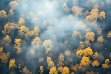 dense fog texture against dark backdrop