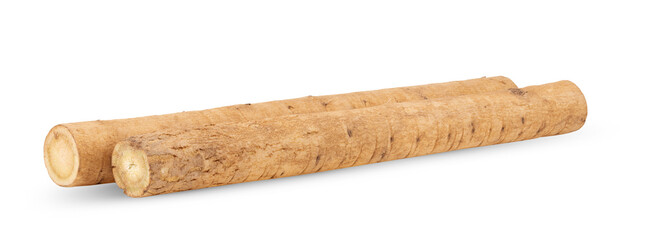 burdock roots or kobo isolated on transparent png