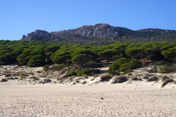 Photo sur Plexiglas Plage de Bolonia, Tarifa, Espagne high sand dunes on the beach Playa Bolonia, Bolonia, Costa de la Luz, Andalusia, Cadiz, Spain