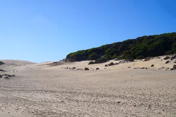 Photo sur Plexiglas Plage de Bolonia, Tarifa, Espagne high sand dunes on the beach Playa Bolonia, Bolonia, Costa de la Luz, Andalusia, Cadiz, Spain