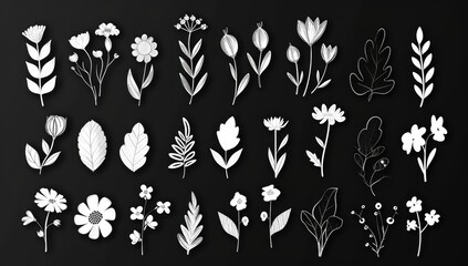 a collection of white silhouettes of flowers and leaves isolated on a dark background, intricate details of various flowers including daisies and tulips, and leaves of various shapes and sizes.