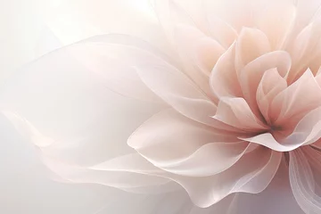 Poster organza flower dahlia on a delicate powdery pink background. copy space © IULIIA