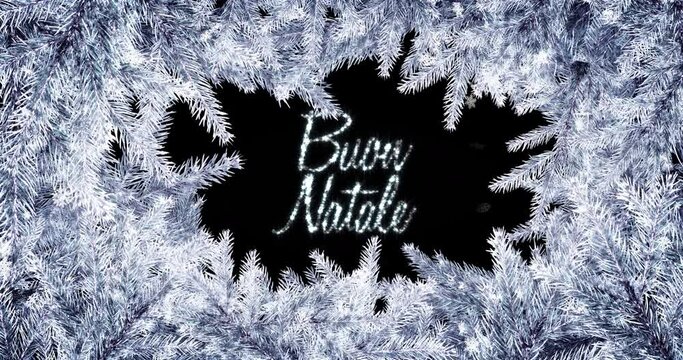 Animation of buon natale text over fir tree branches