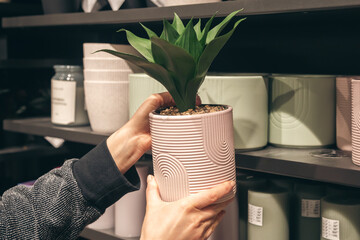 A woman holds a decorative flowerpot in her hands in a store.