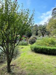 Landscape with a Botanical garden in Tbilisi