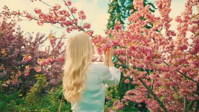 young happy woman back rear view blonde hair beauty smiling face holding flower enjoying aroma sakura pink flowers. Adult girl fashion model. spring garden tree nature day sun light flare. 4k 8 march 