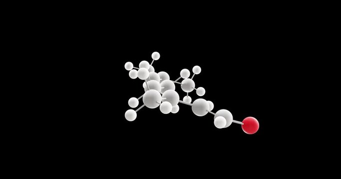 Citral molecule, rotating 3D model of acyclic monoterpene aldehyde, looped video on a black background