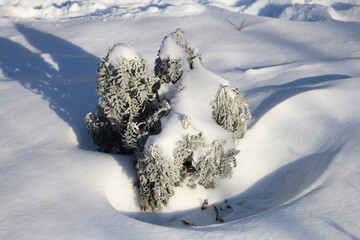 A group of objects in the snow