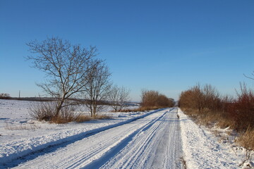 Fototapeta na wymiar A snowy road with trees and a blue sky
