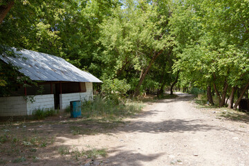abandoned building along the road