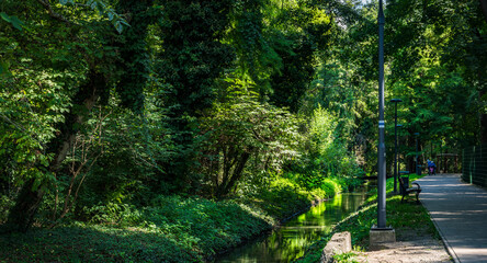 Obraz premium green forest park next to the thermal baths in Heviz, Hungary