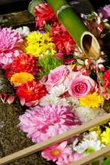 勝林寺の花手水