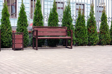 Tui decorative planting in row in recreation urban area with empty wooden bench on tiled floor...