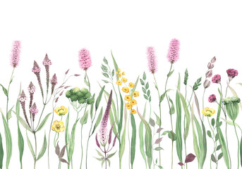 Wildflowers, green wild plants and grasses, floral seamless pattern with pink, purple and yellow flowers, watercolor isolated illustration, floral horizontal border, hand painting spring meadow. - obrazy, fototapety, plakaty