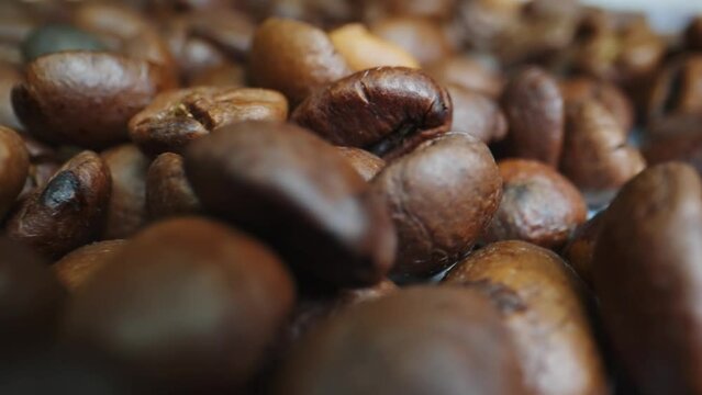 Coffee beans on a macro shot on production line conveyer belt