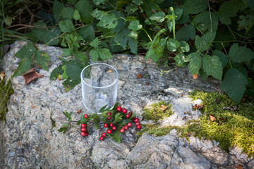A glass transparent glass with a branch rowan stands on a stones, against the backdrop of a picturesque nature. Image for your creative design or illustrations.