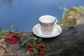 Fototapeta premium An empty cup of coffee with golden patterns, in a small saucer, stands on a log, against the backdrop of a picturesque river in the morning. Nearby lies a branch of rowan. Image for your design.