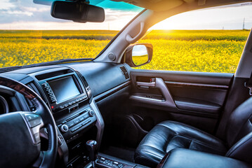 Leather car seat interior with sunset in the windows. Blooming rape field