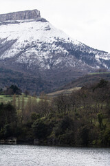 Detail of a snowy rural landscape with snowy mountain in the background