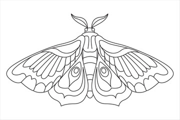 Butterfly black white logo isolated. Butterfly illustration. Beautiful insects isolated on white background. Spring summer seasons butterfly. design element. Coloring page Vector illustration
