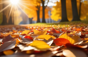 Naklejka na ściany i meble autumn leaves in the park. 