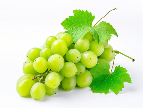 Fresh green grape isolated on white background. Minimalist style. 