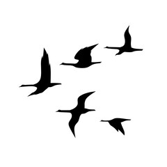 Birds flock silhouette icon vector. Birds flock silhouette can be used as icon, symbol or sign. Birds flock icon for design related to animal, wildlife or landscape