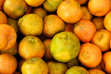 Oranges displayed for sell in a market, very tasty, famously in worldwide.