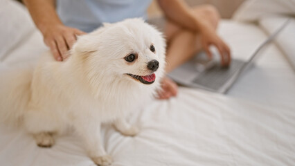 Easygoing morning in a cozy apartment, young caucasian man relaxes with his handsome puppy, comfortably sitting on a bed, focused on his laptop in the comfort of his bedroom