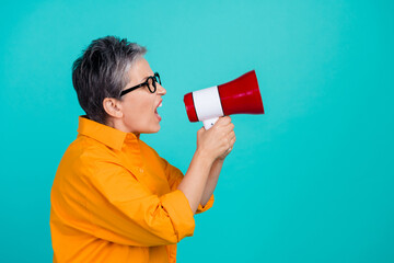 Side profile photo of aggressive business woman screaming bossy holding megaphone look copyspace...