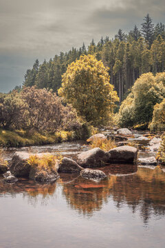 Relaxing river forest in summer, beautiful English natural scenic landscape, autumnal colours, Dartmoor National Park UK
