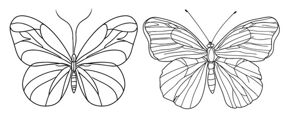 Butterfly in One continuous line drawing - obrazy, fototapety, plakaty