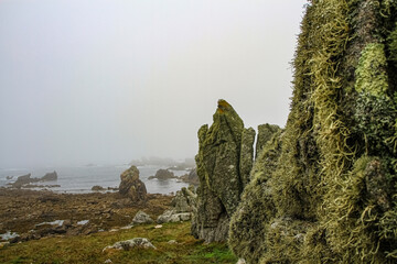 Dans la brume de l'île de Ouessantt, Finistère, France