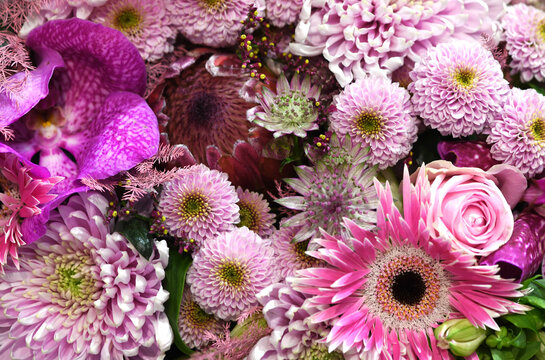 Flowers wall background with amazing pink and purple flowers, hand made Wedding decoration, Valentine or mother&acute;s day background. Colorful flowers mix. Pattern of flowers. 
